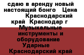 сдаю в аренду новый настоящий бонго › Цена ­ 100 - Краснодарский край, Краснодар г. Музыкальные инструменты и оборудование » Ударные   . Краснодарский край